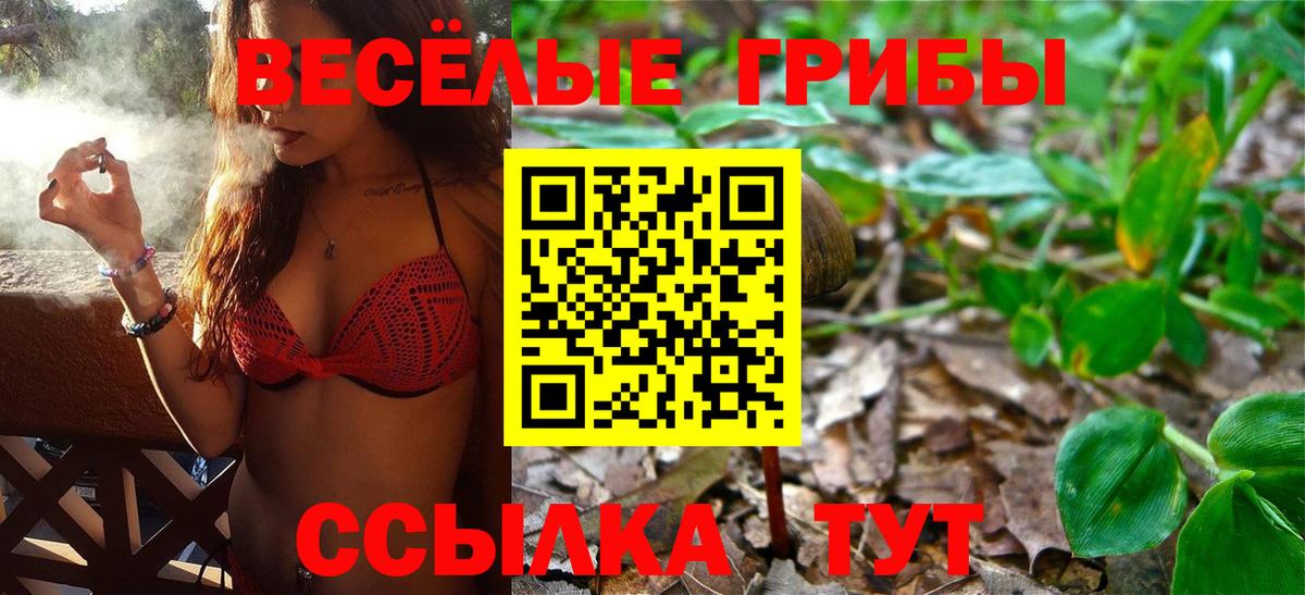 Псилоцибиновые грибы Magic Shrooms Тара